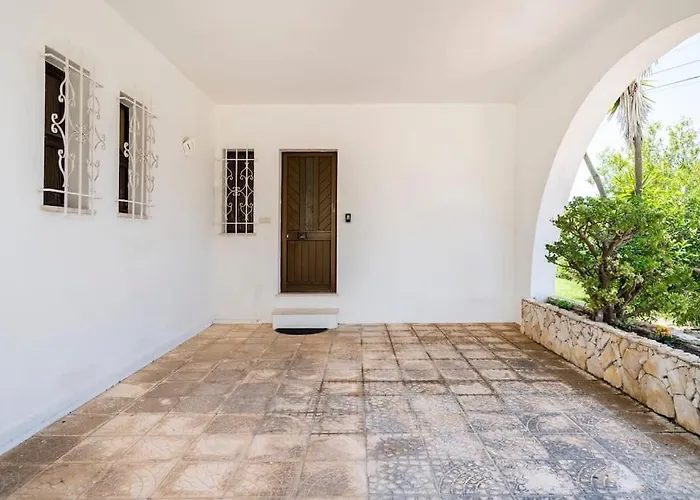 Palmeiras - Serene Private