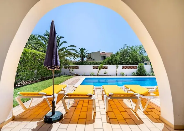 Palmeiras - Serene Private